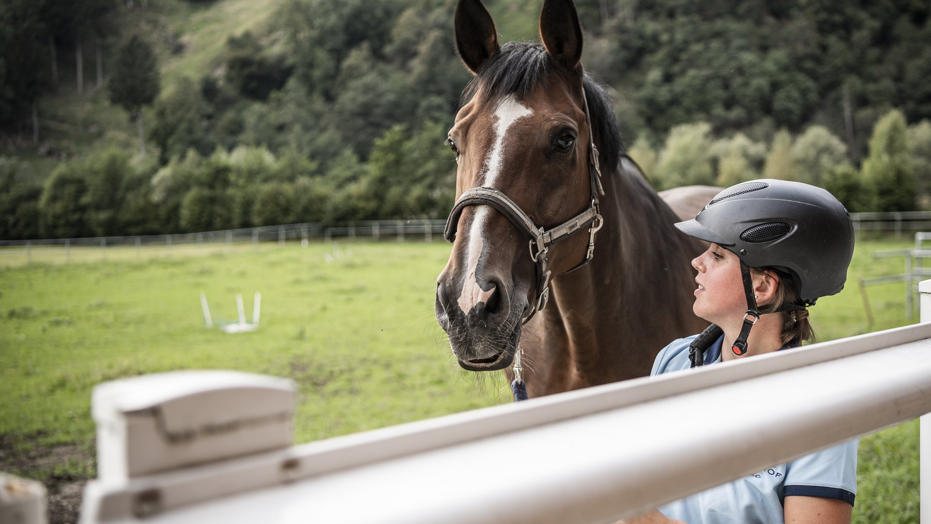 Reithotel in Südtirol gesucht? Reithotel in Südtirol gesucht?