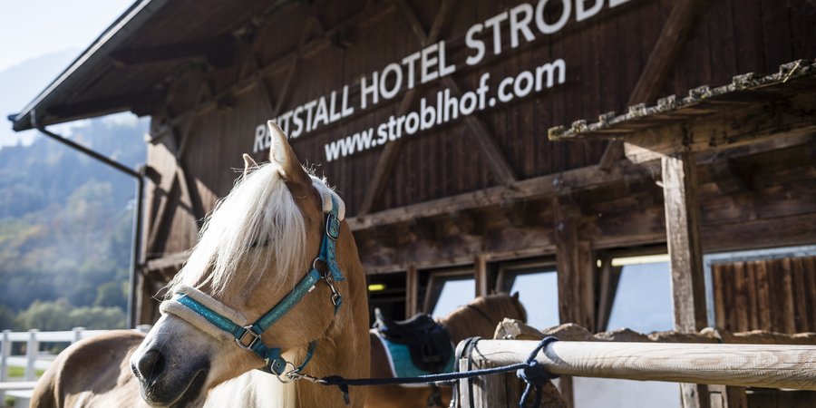Das Sporthotel in Südtirol für Ihre Familie Das Sporthotel in Südtirol für Ihre Familie