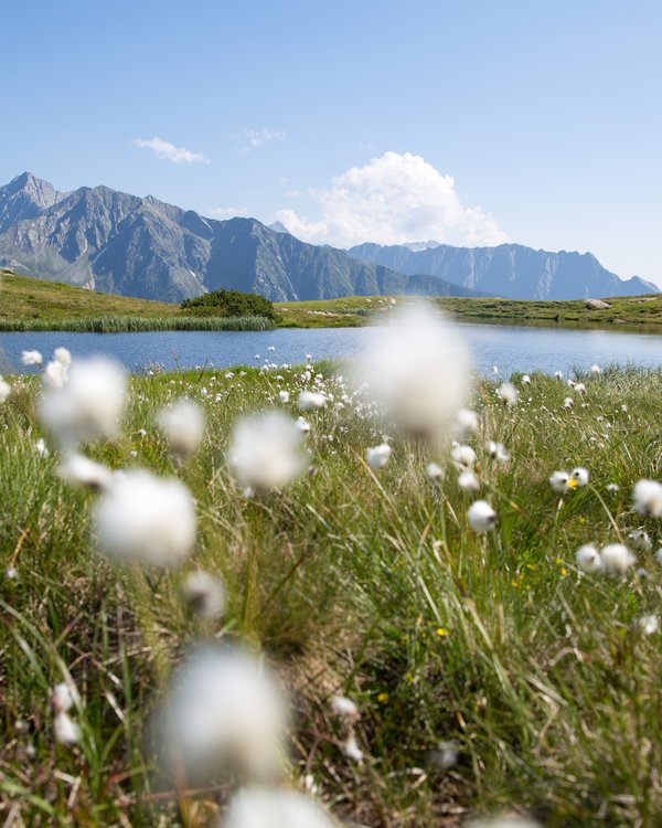 Das All-inclusive-Hotel in Südtirol: STROBLHOF Das All-inclusive-Hotel in Südtirol: STROBLHOF