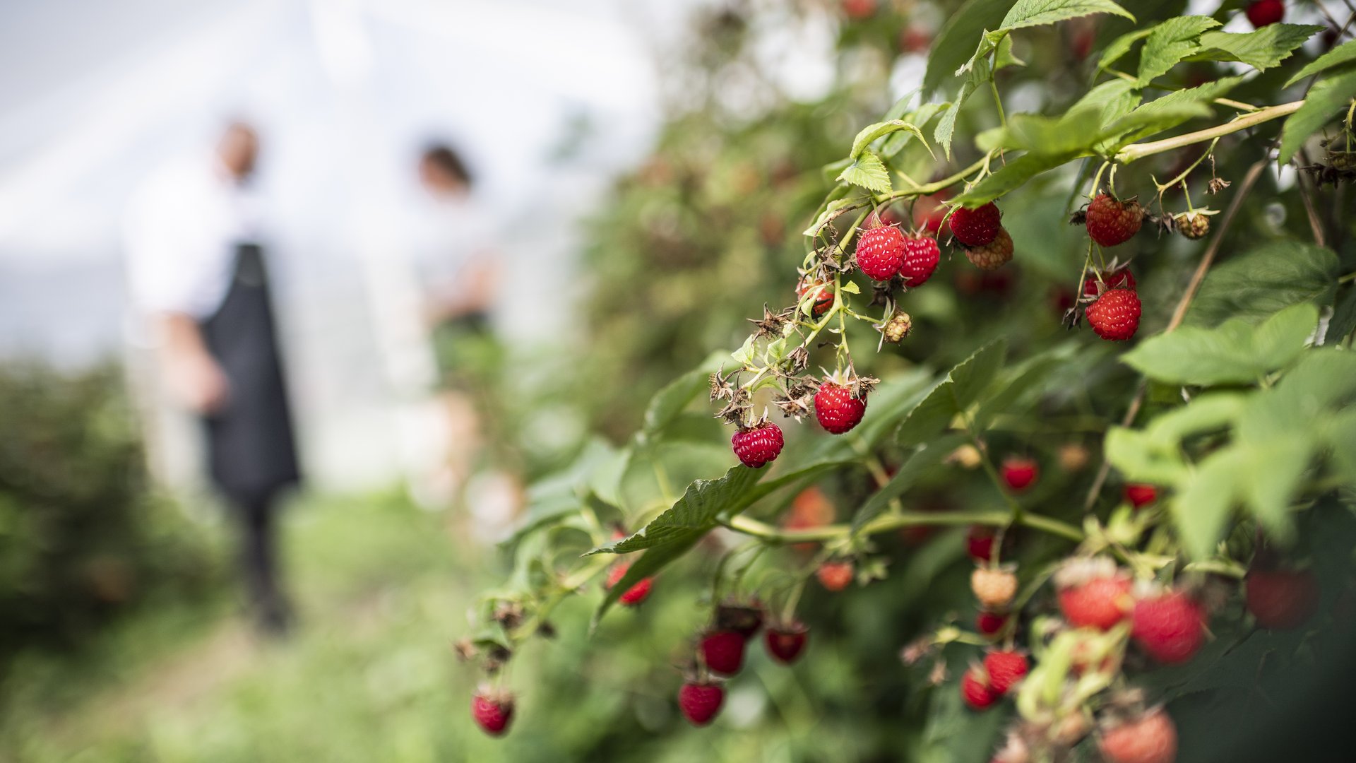 Sustainability at the Stroblhof Sustainability at the Stroblhof