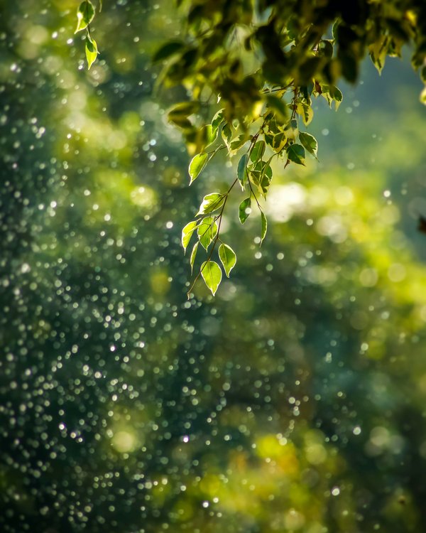 Ausflugsziele im Passeiertal und Umgebung Ausflugsziele im Passeiertal und Umgebung