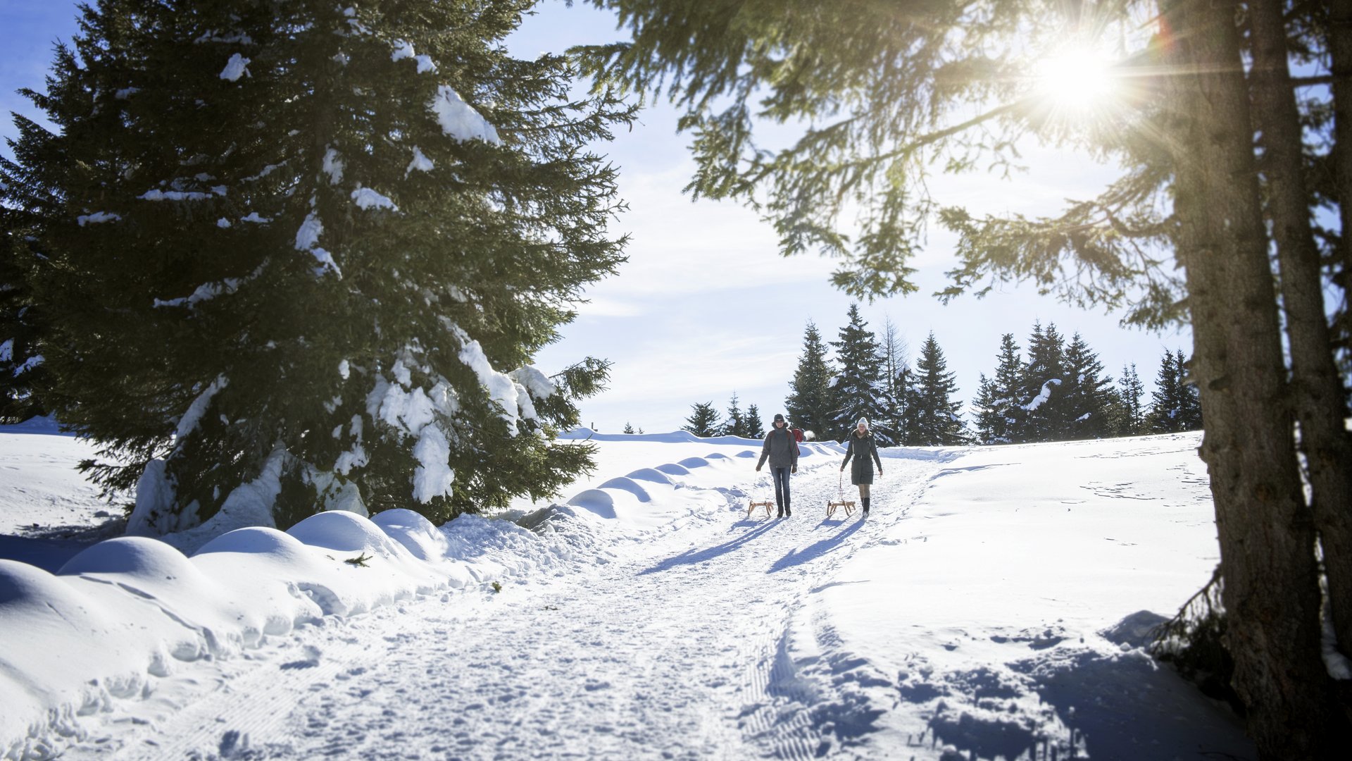 Rodeln im Passeiertal Rodeln im Passeiertal